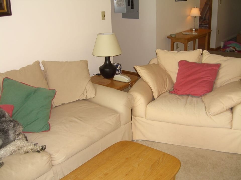Living room with couch and chair