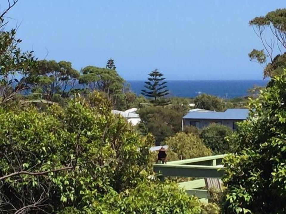 View from deck