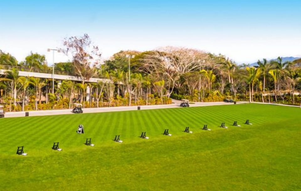 The Golf academy