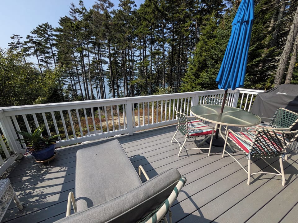 Back deck with table, chairs, chaise lounge and propane grill