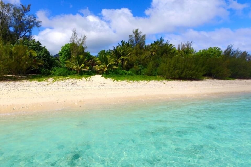 View from the lagoon