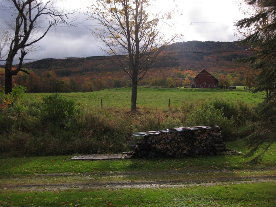 View from the living room in October, late afternoon.