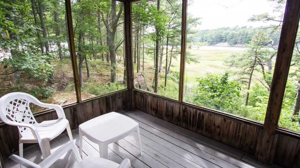 View from back porch towards the left