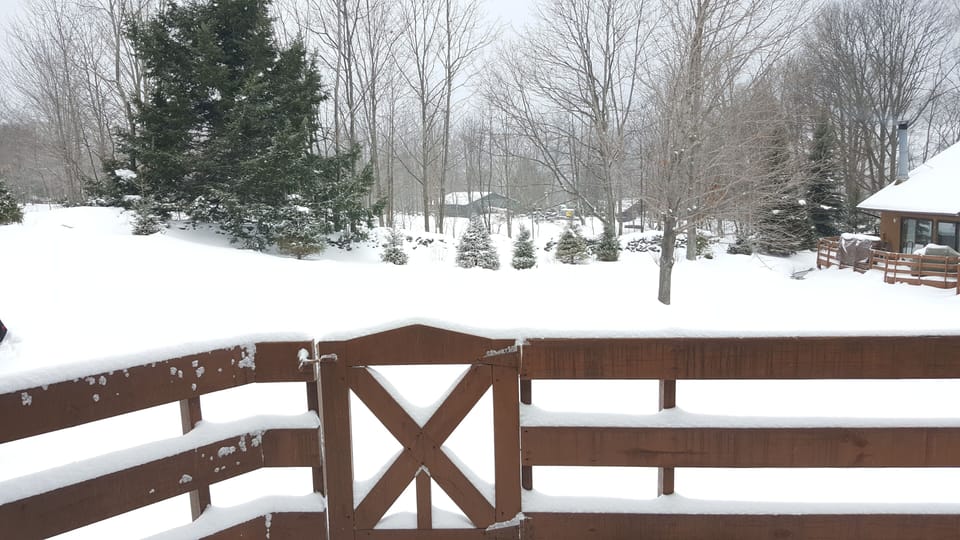 View From Back Porch