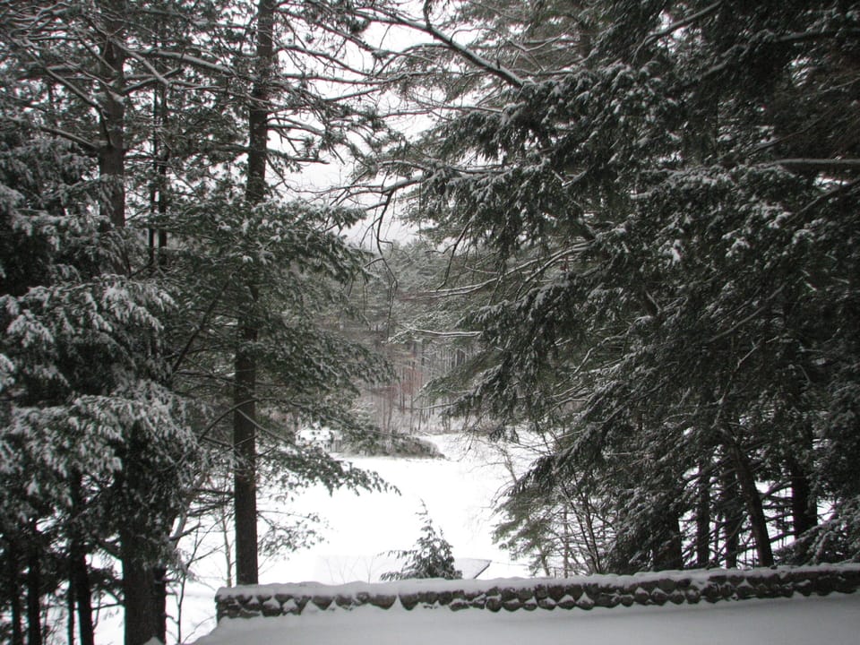 lakeview in winter