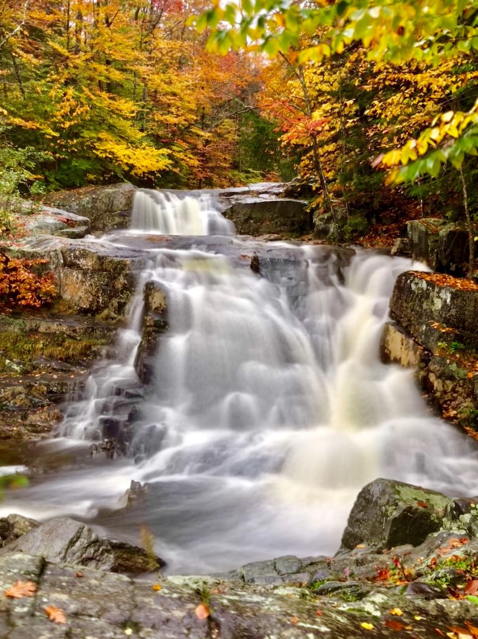 The Falls just up the road