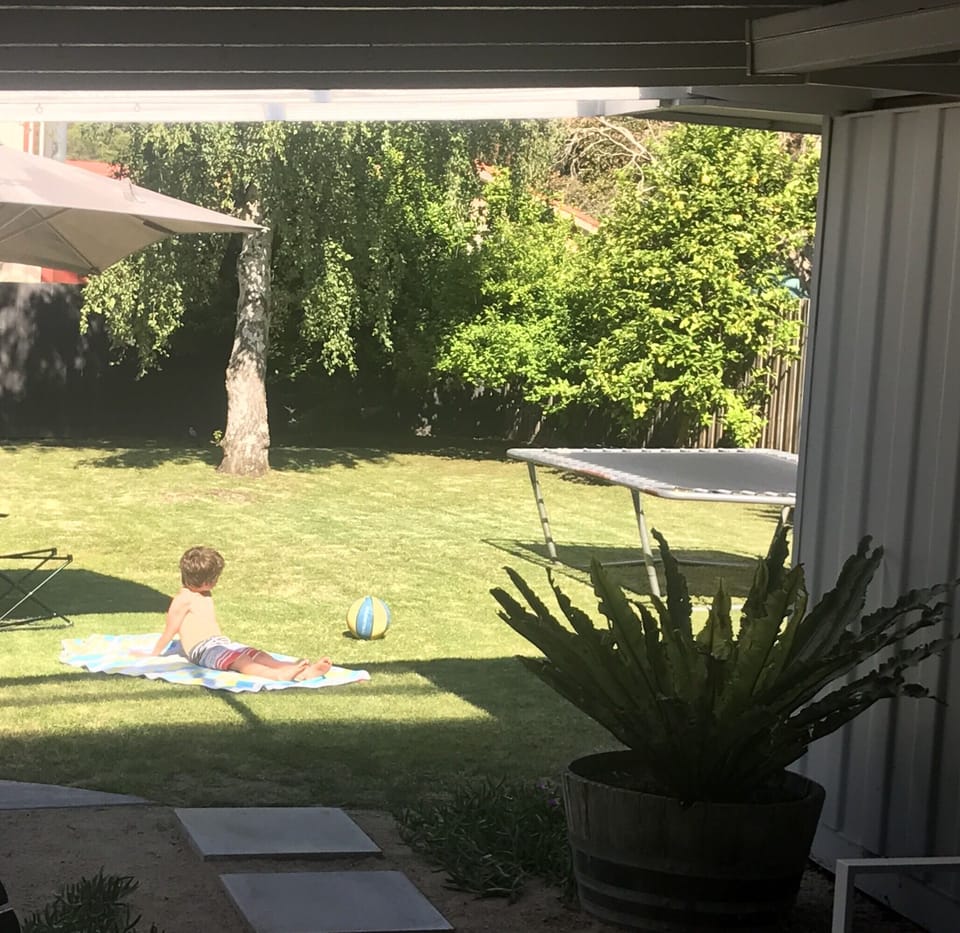 Generous Backyard 