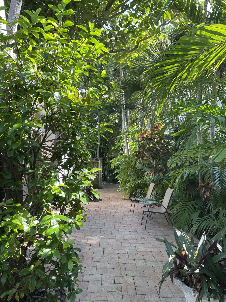 Side Yard with Private Seating