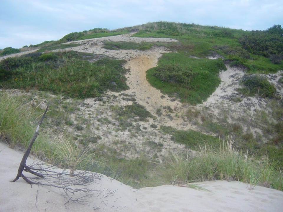 Back trail to bluffs overlooking ocean.