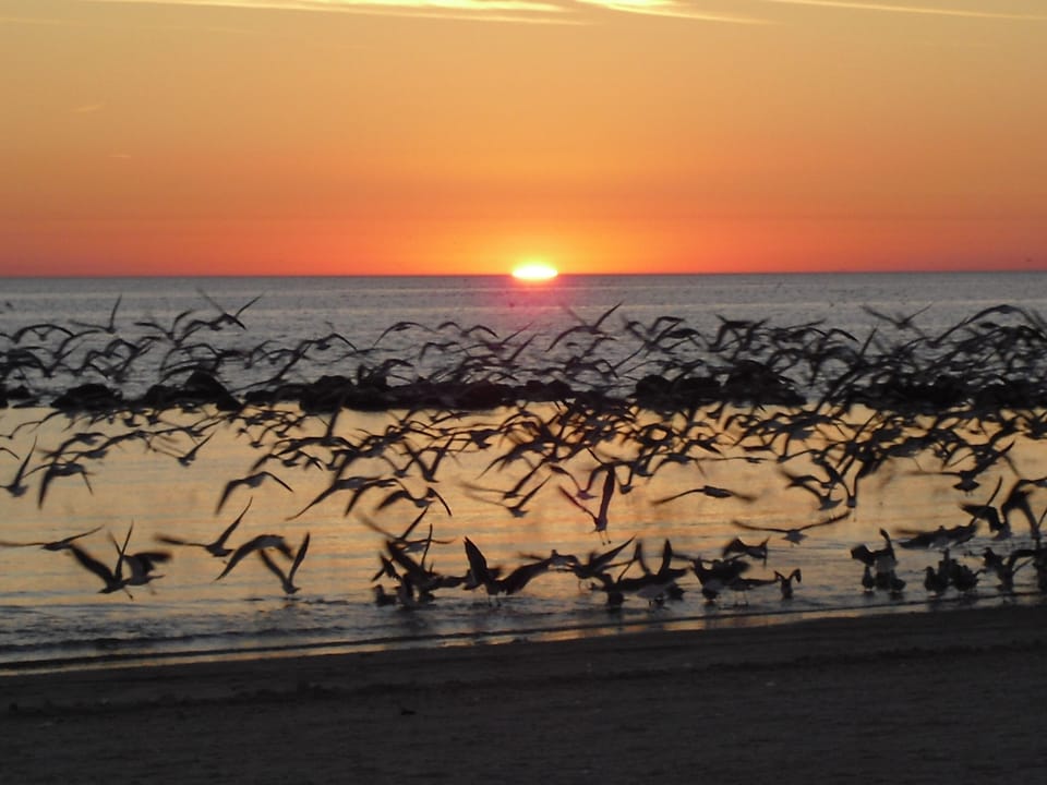 Sunset at Crystal River Beach