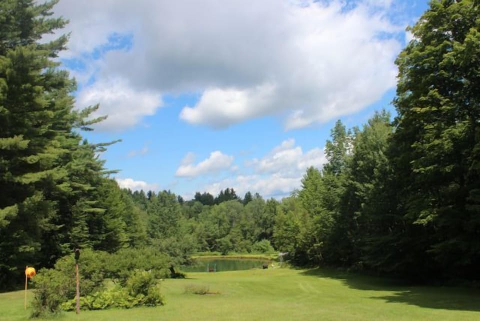 'Perfect Pond' and blueberry bushes
