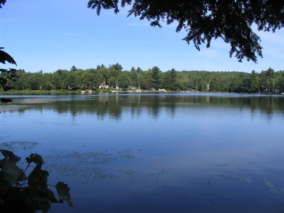 Lake access includes dock and canoe