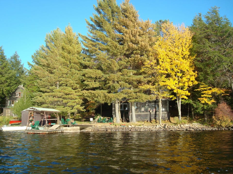 Cabin nestled in the pines. Lots of privacy!
