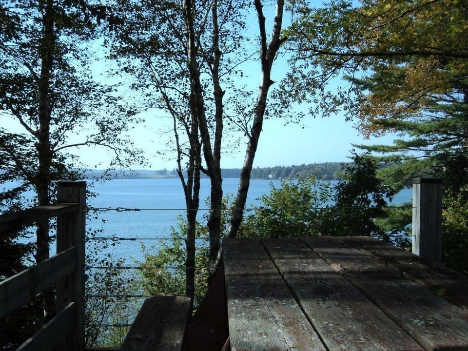 Large deck with picnic table and plenty of comfortable seating