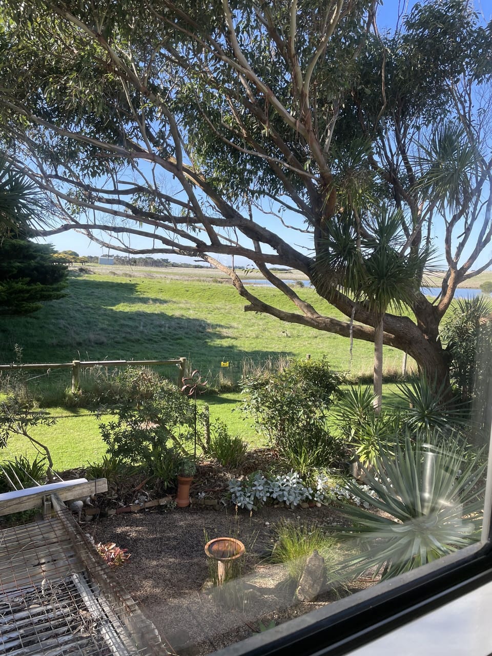 Kitchen window view