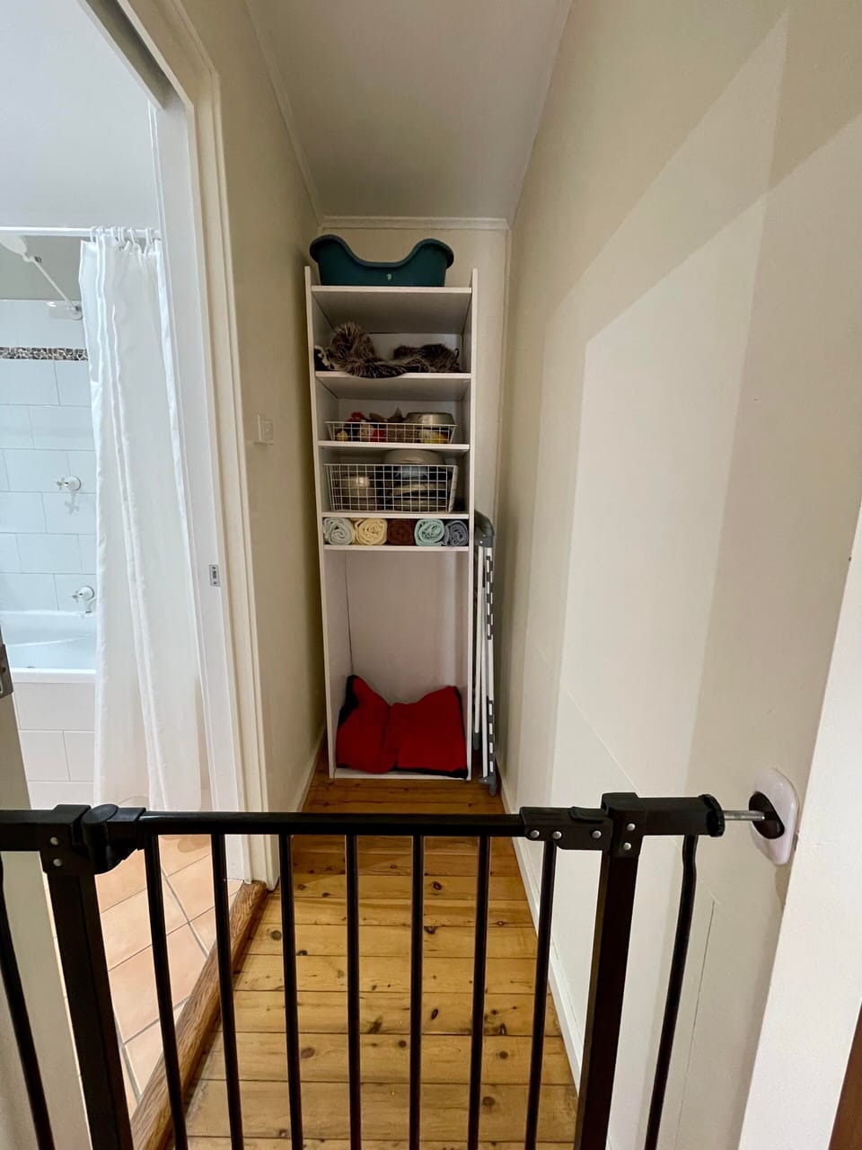 A doggy room adjacent to the bathroom