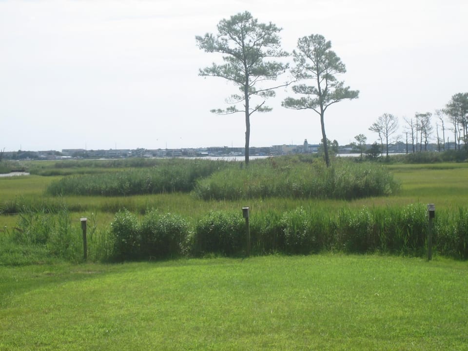 There are plenty of neighborhood marsh and water views.