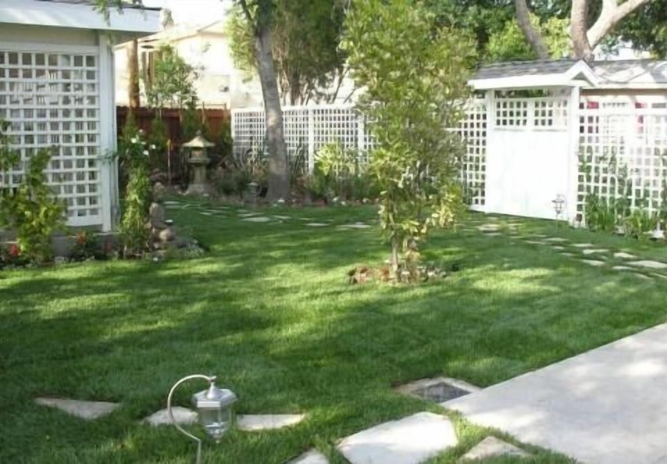 Garden view from patio