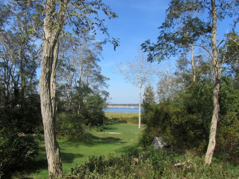 Harbor view