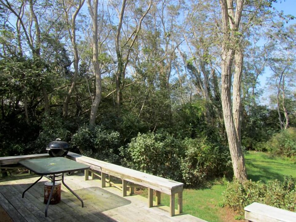 Back deck with grill