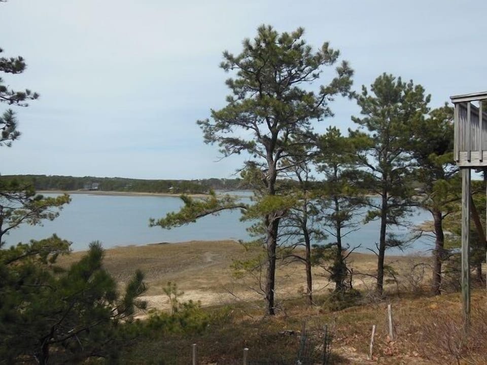 Conservation Views