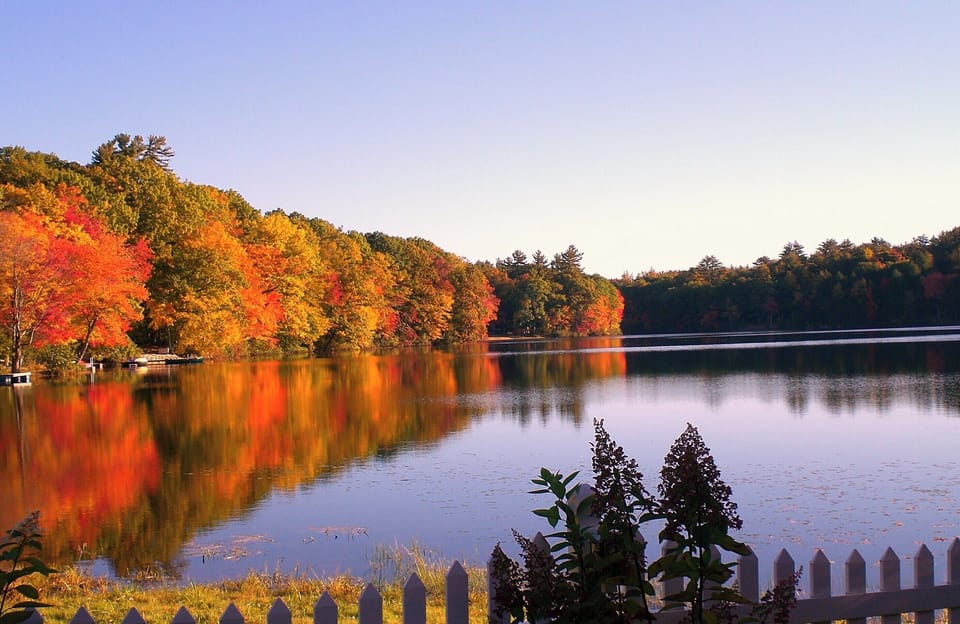 View from the cottage.