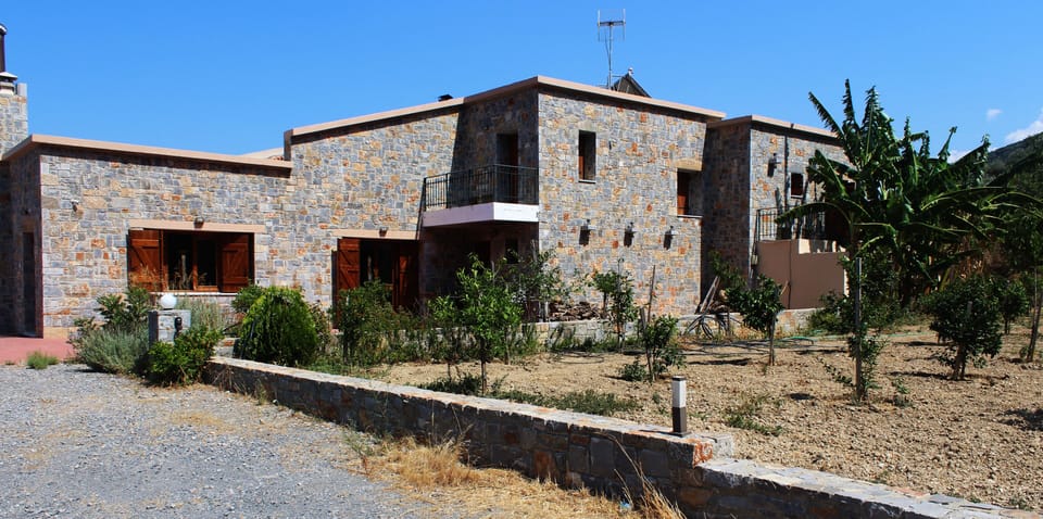 View from the backyard