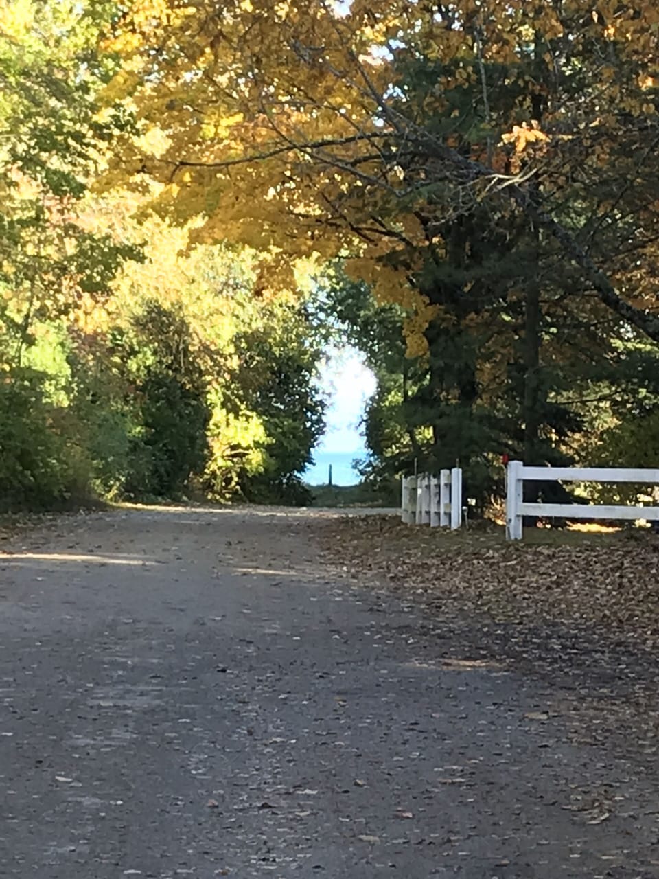 The road to the lake. 