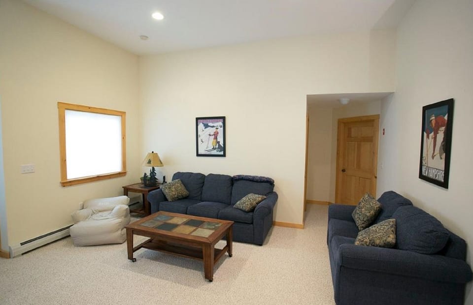 Basement living/game room