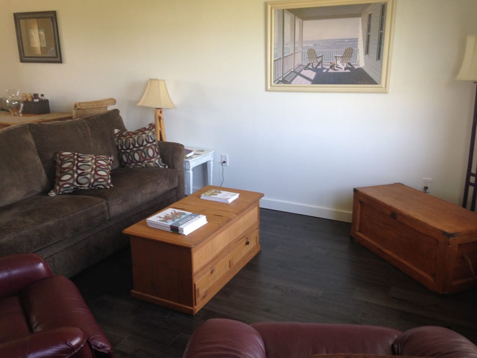 Living room - lots of natural light, comfortable furniture and brand new couch.