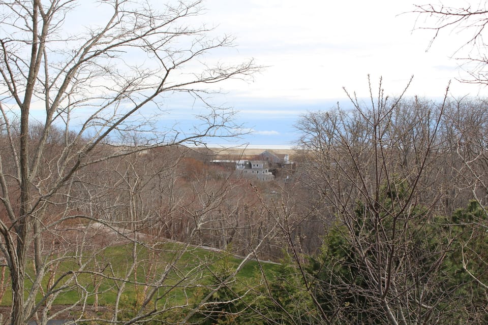 Winter view from the top deck.