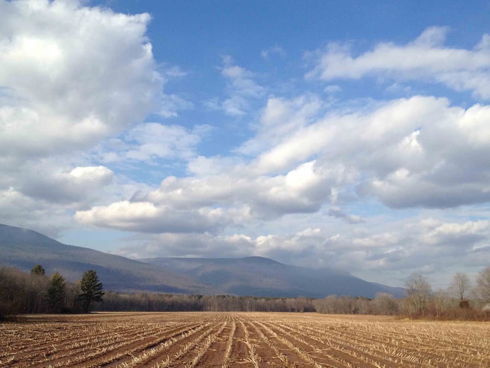 Farmland view