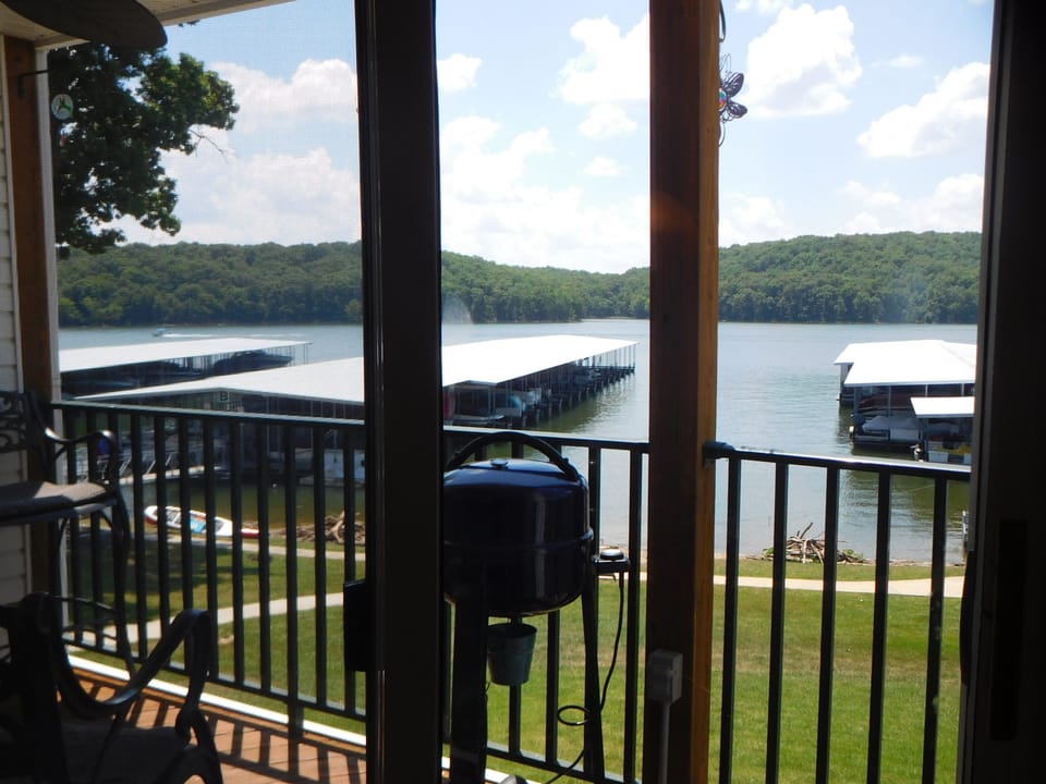 View from dining table.
