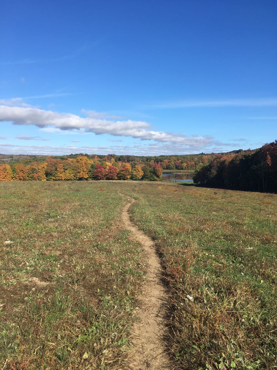 700-acre estate also includes a Grassfed Beef farm and forest hiking trails.