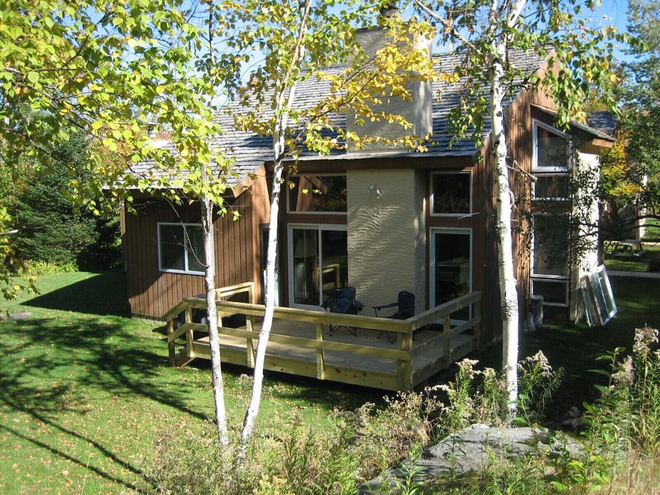 Summer setting, property surrounded by Maple, Birch, and Hemlock