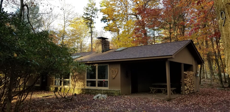 The home sits on a wooded lot with plenty of space for parking