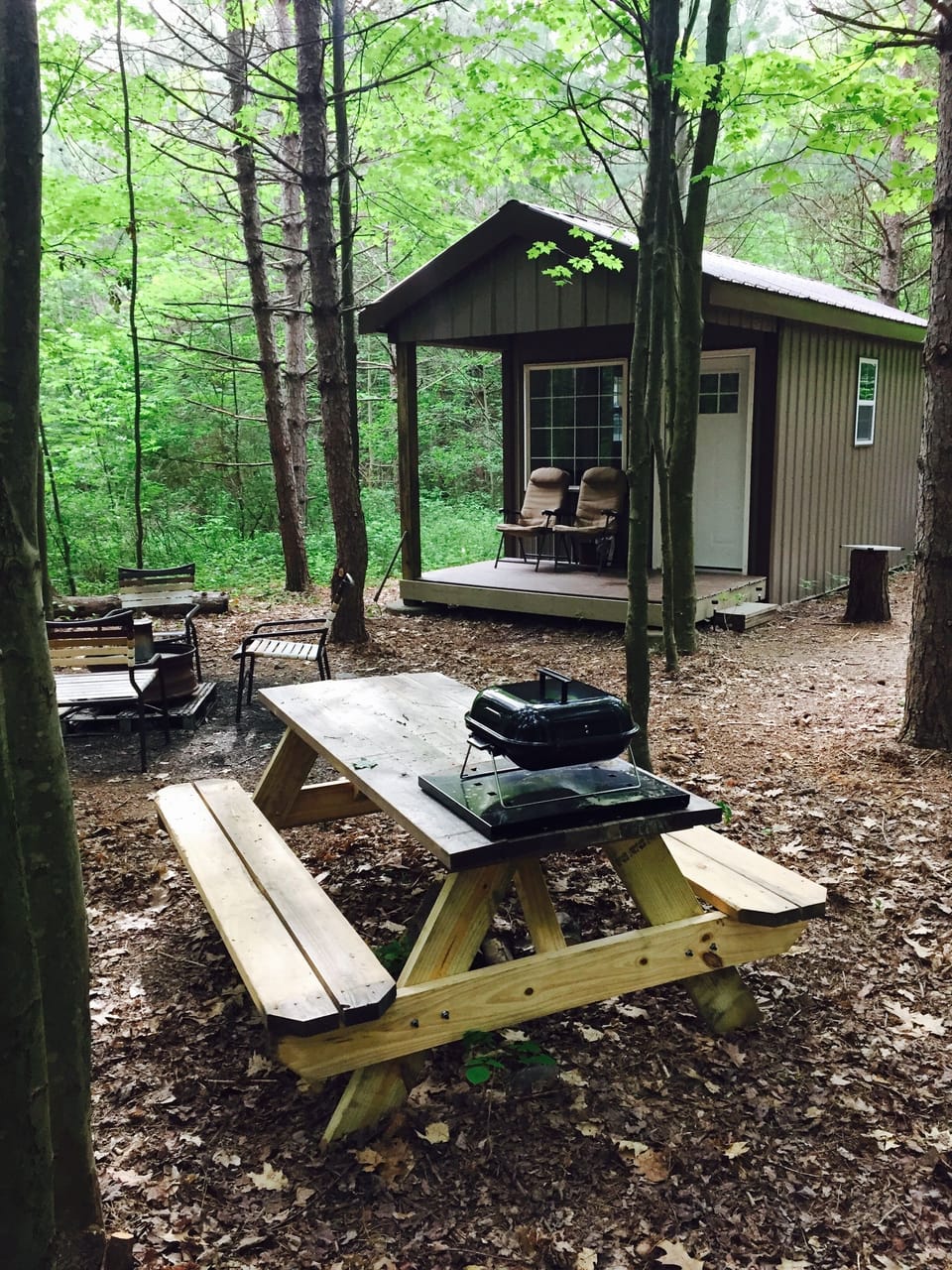 The Bird House
Picnic Table and Fire pit