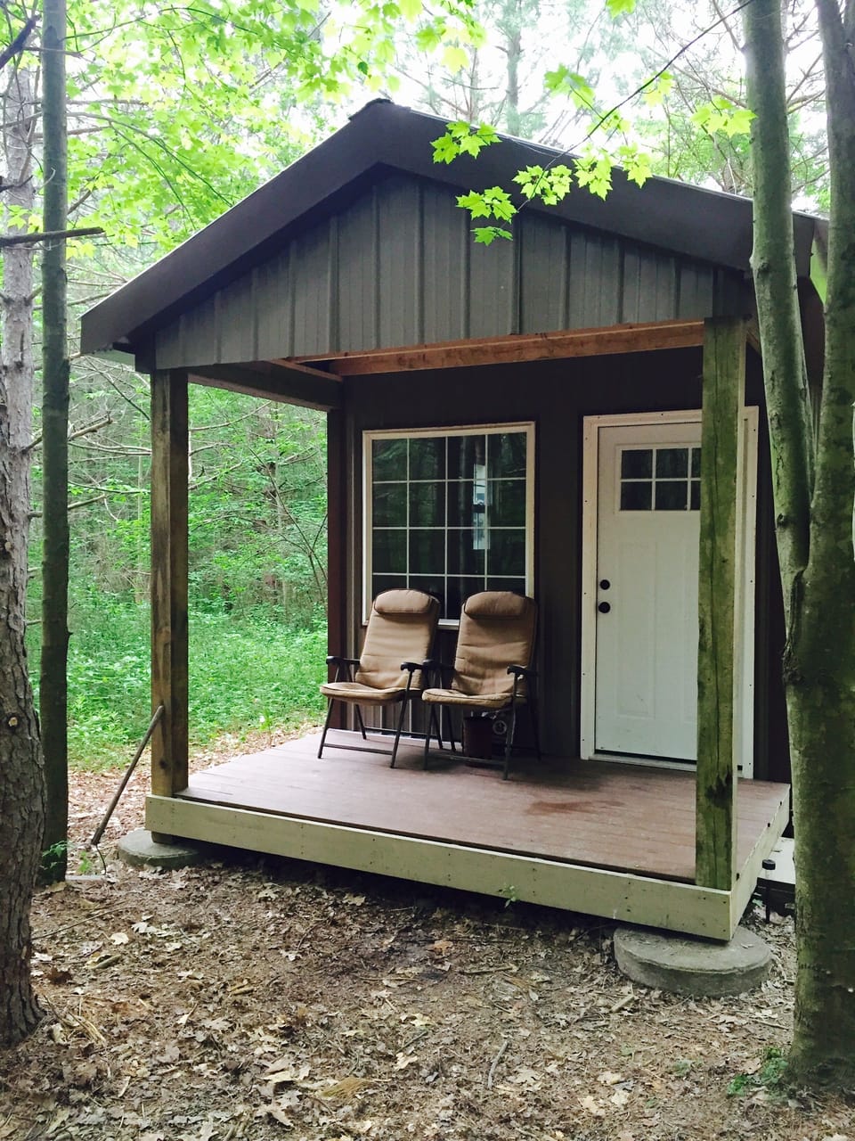 The Bird House
New 2016