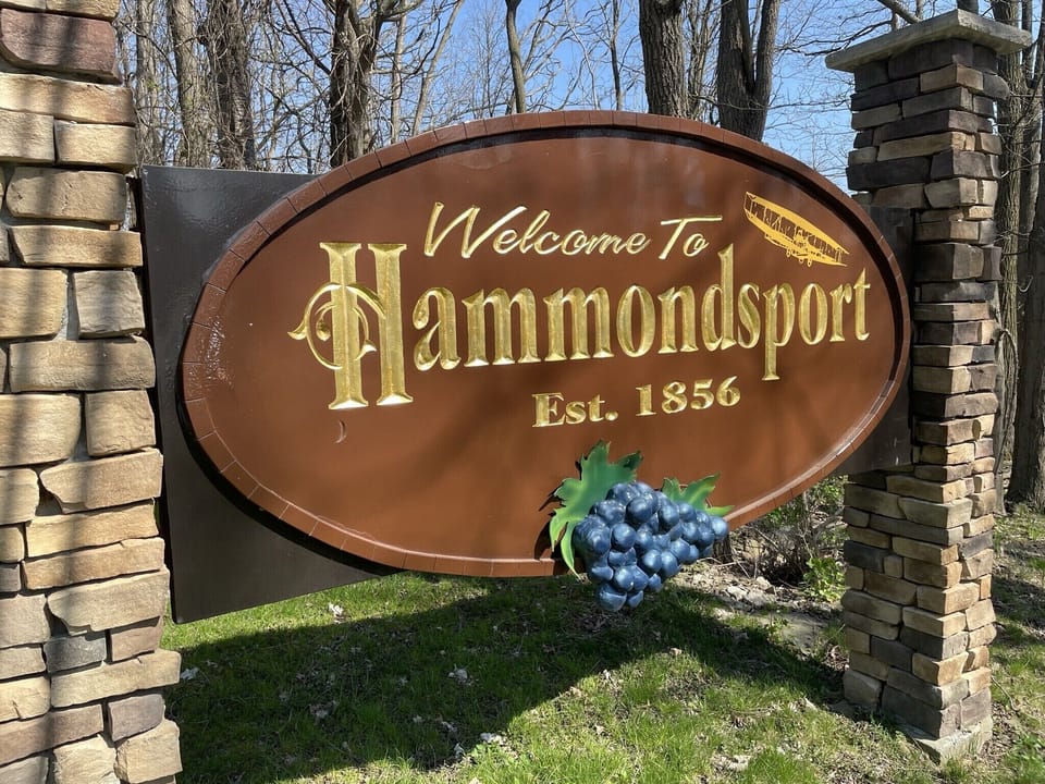 Hammondsport - Located 10 miles away - coolest small town!
