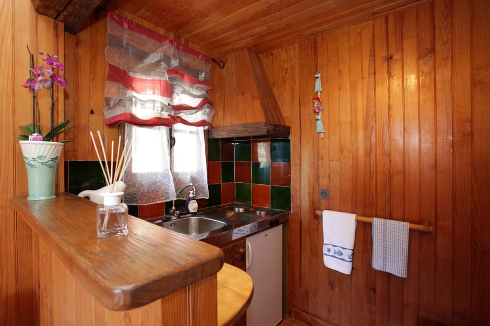 Studio kitchenette with 2 hobs and fridge