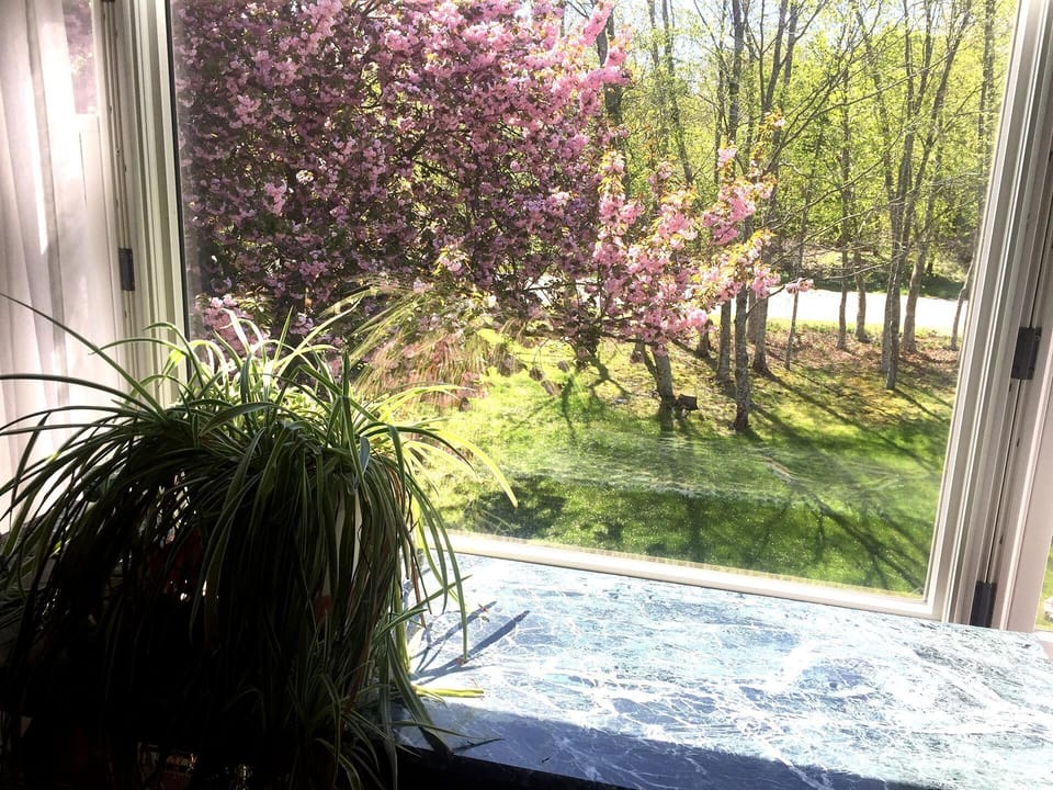 The view from master bedroom #2
