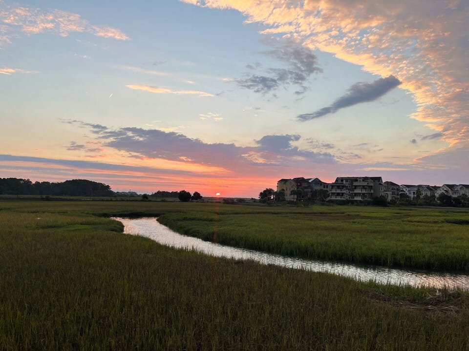 Morning walk on the Boardwalk