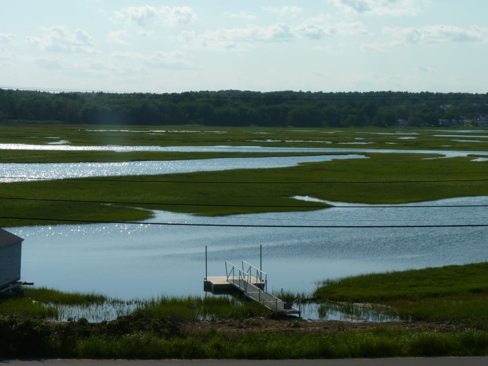 Marsh behind the house with a private dock for launching kayaks.