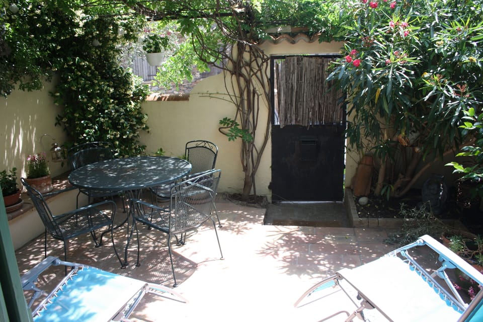 The garden