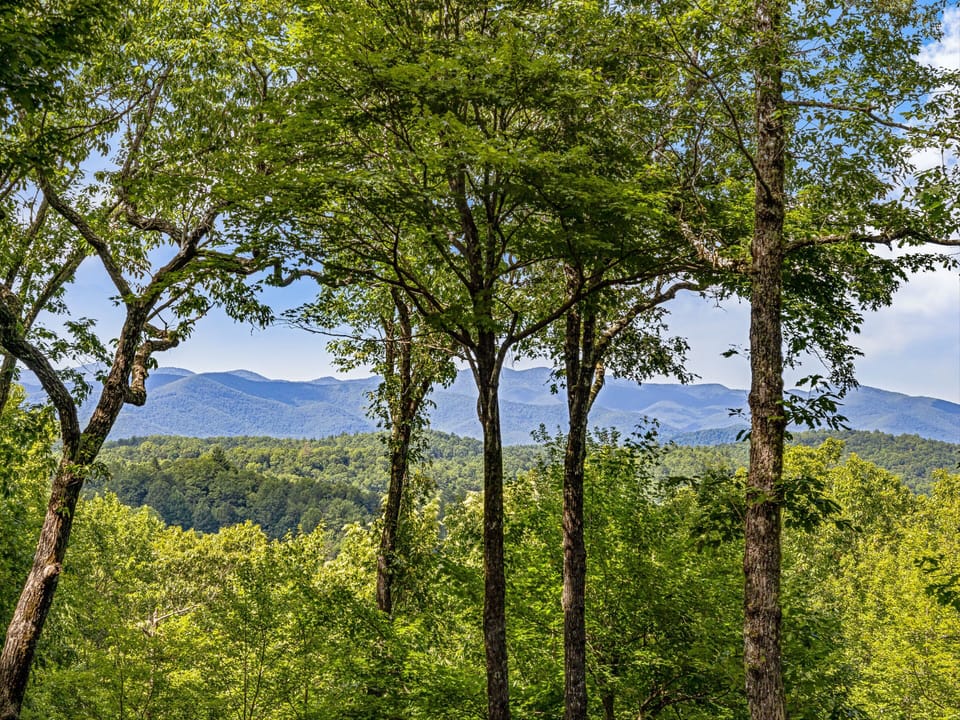 Viewing Beautiful Blue Ridge Mountains from the large covered porch.