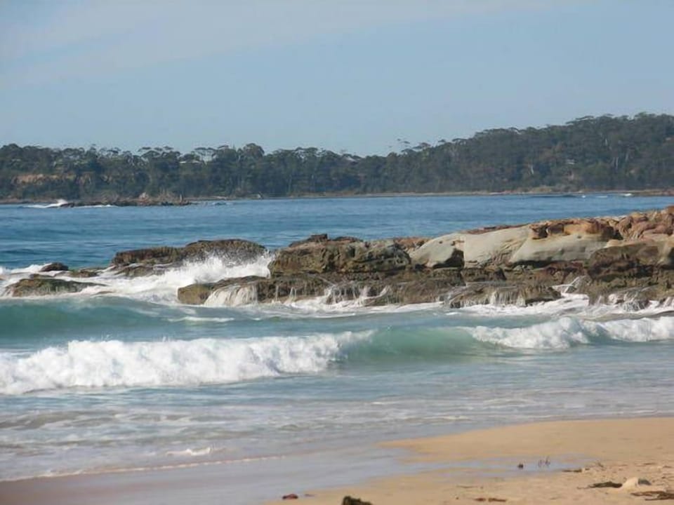 buckleys point