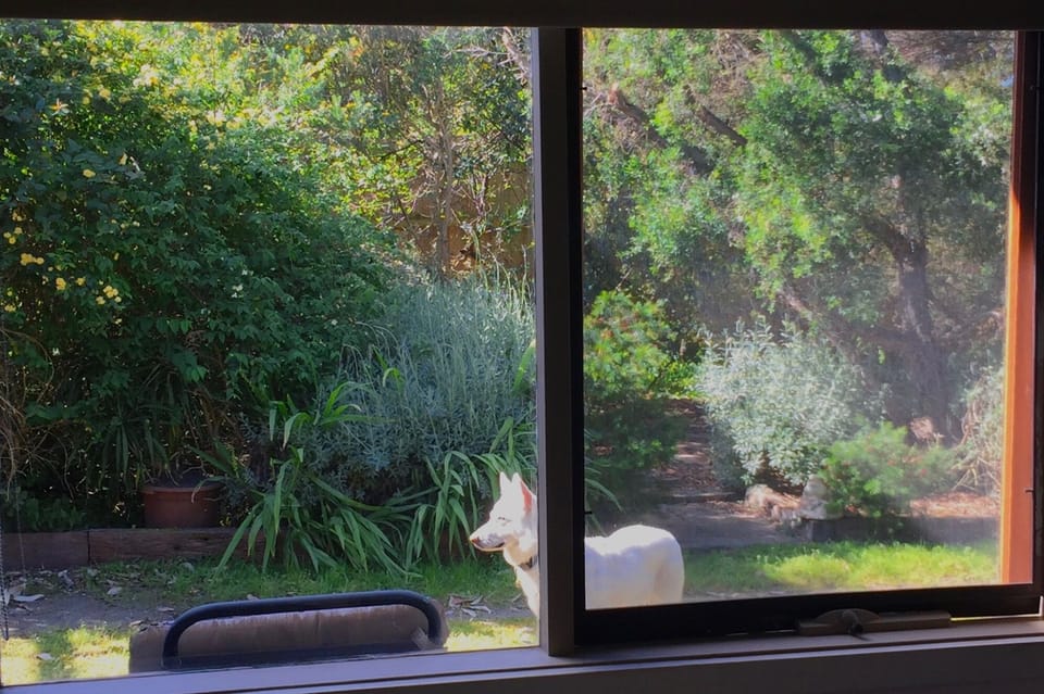 Dining room view