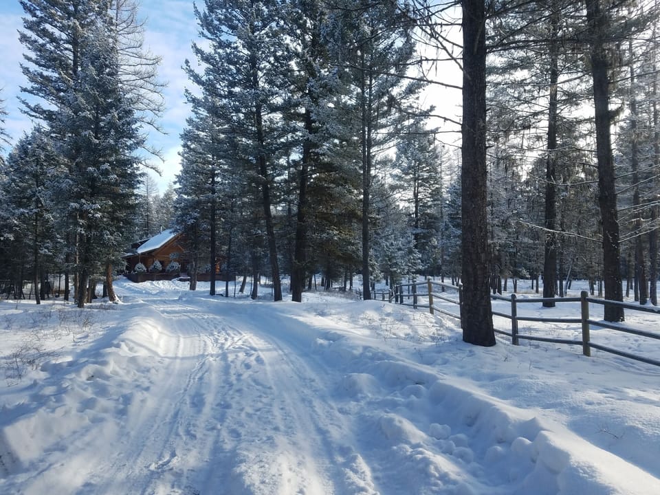 Driveway in Winter
