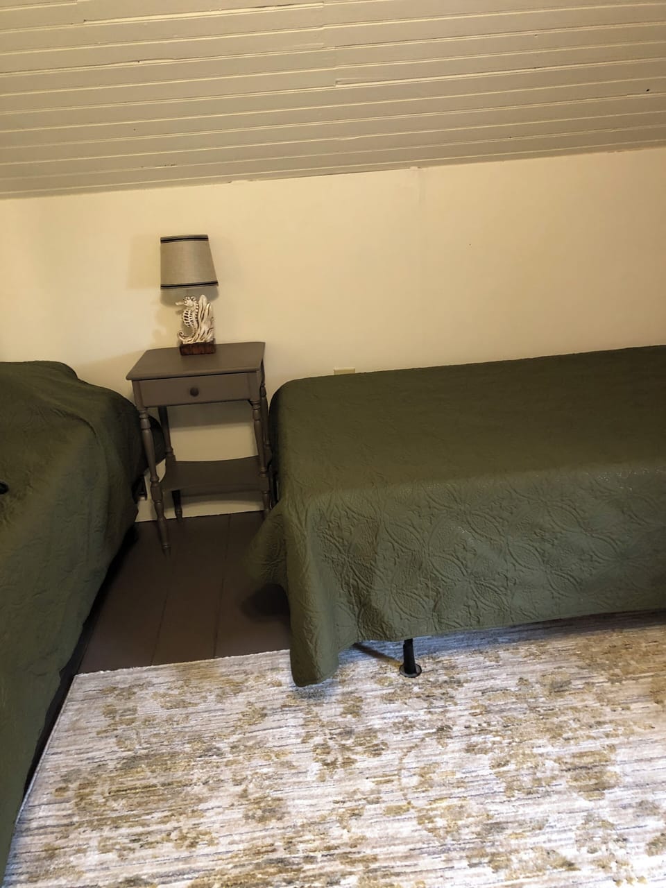 Back Bedroom view of twin size beds

