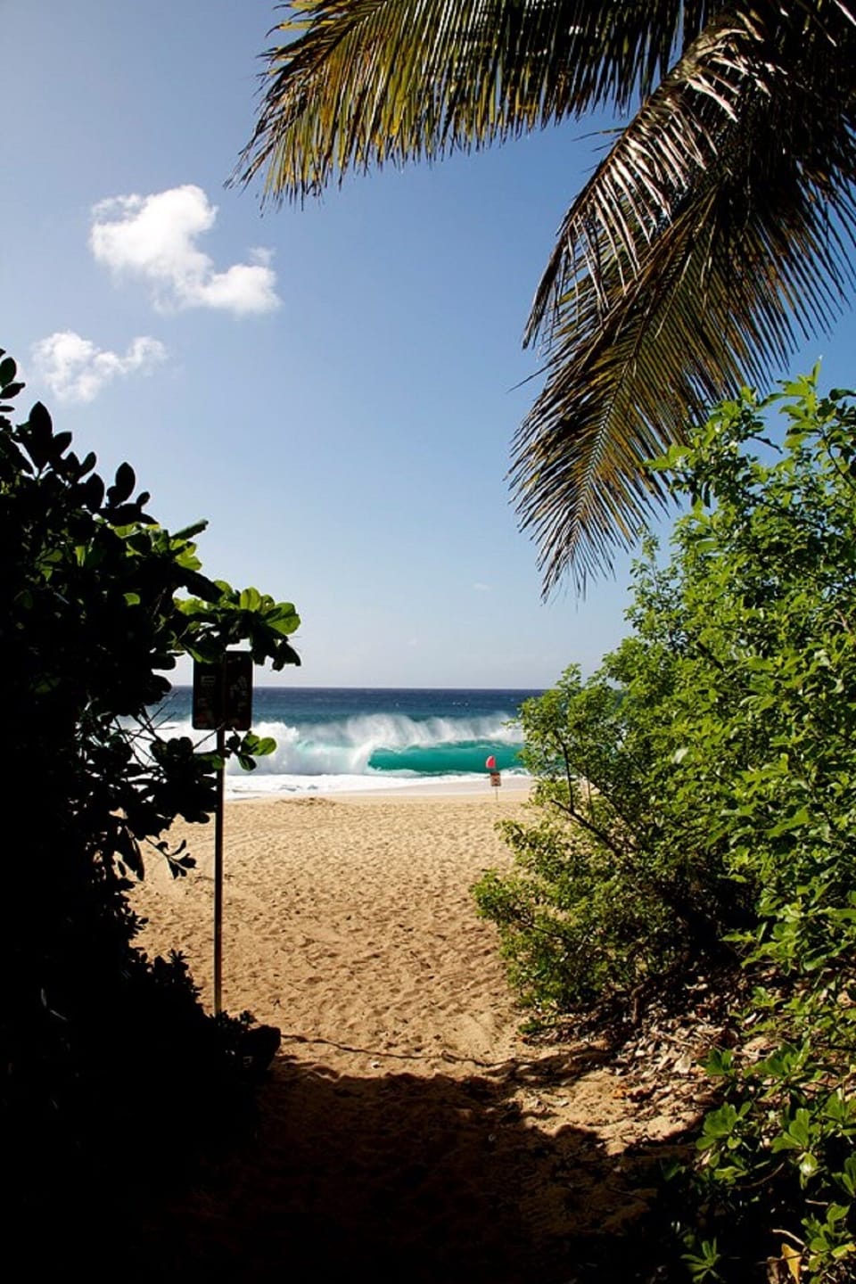 Beach